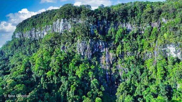Tallebudgera Gorge Falls