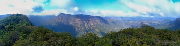 O'Reillys Rainforest Retreat & Tooloona Creek