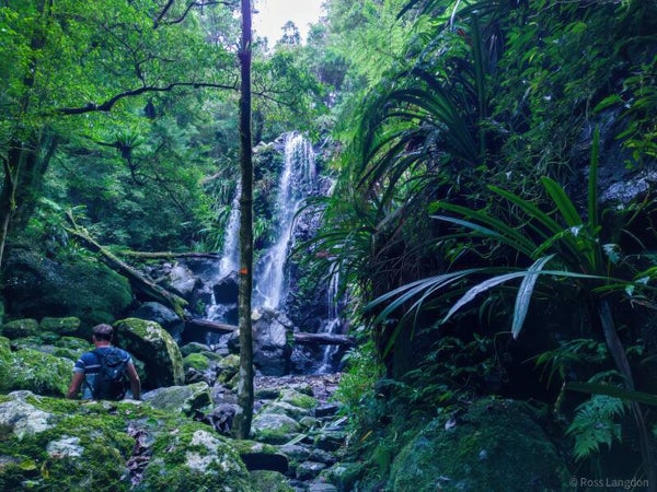 O'Reillys Rainforest Retreat & Tooloona Creek