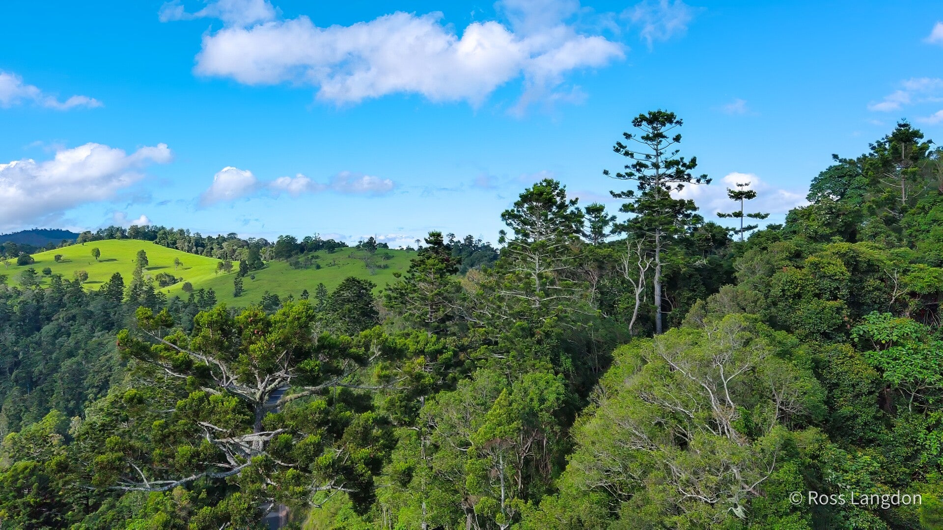 O'Reillys Rainforest Retreat & Tooloona Creek