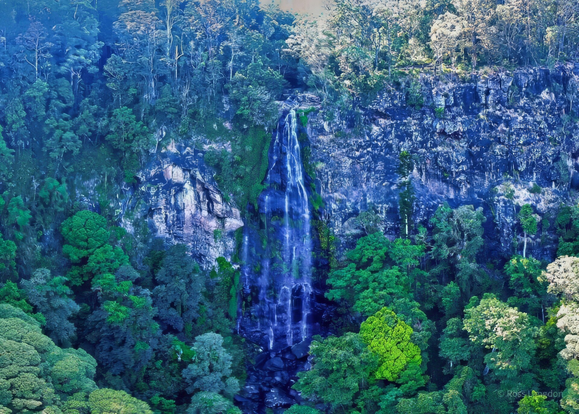 O'Reillys Rainforest Retreat & Tooloona Creek