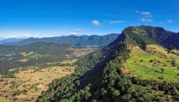Tweed Valley