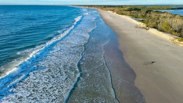 Bribie Island Gallery