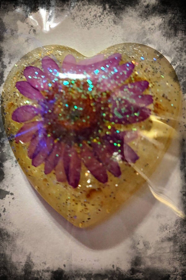 Large Heart Real Pink Daisy Custom Made Resin Collector Pin