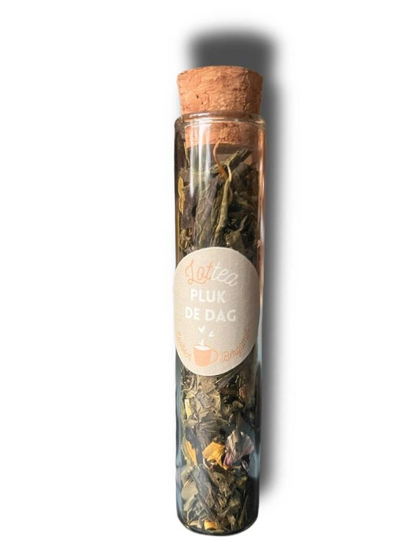 Lottea Buisje "Pluk De Dag" Thee
