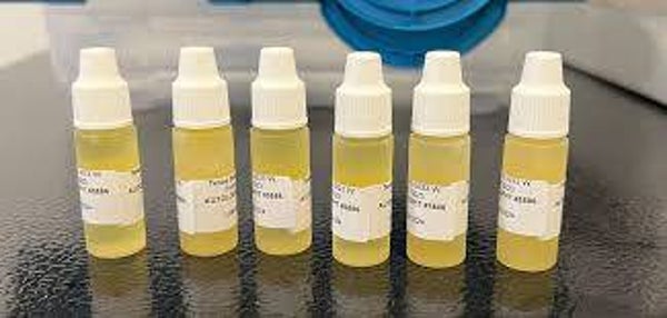 Serum Tear Collection