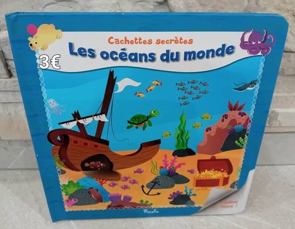 Livre Cherche et Trouve : Les océans du monde
