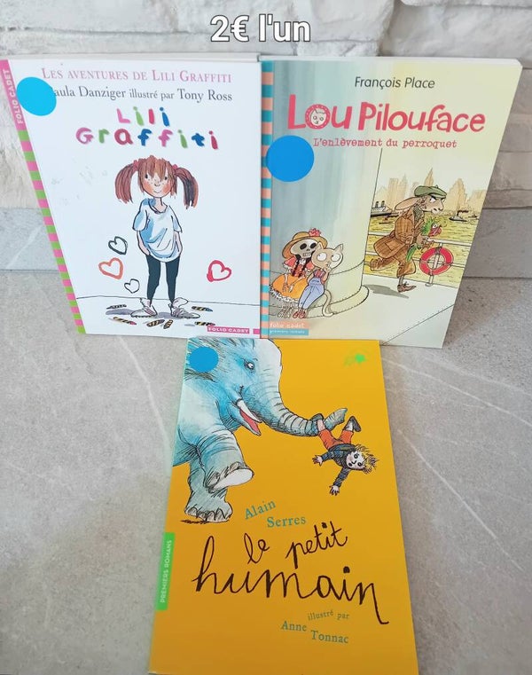 Premiers Romans Folio Cadet