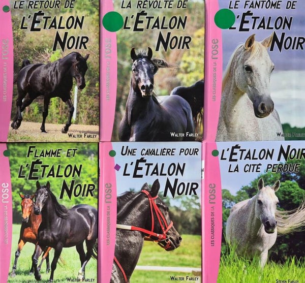 Bibliothèque rose : L'étalon noir
