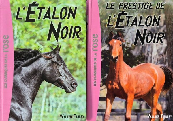 Bibliothèque rose Bon état : L'étalon Noir
