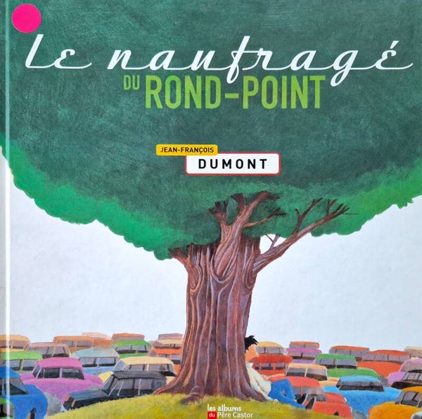Livre 3 à 5 ans : Père Castor Le naufragé du rond point