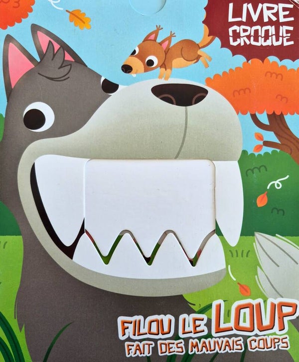 Livre bébé Bon etat : Livre Croque