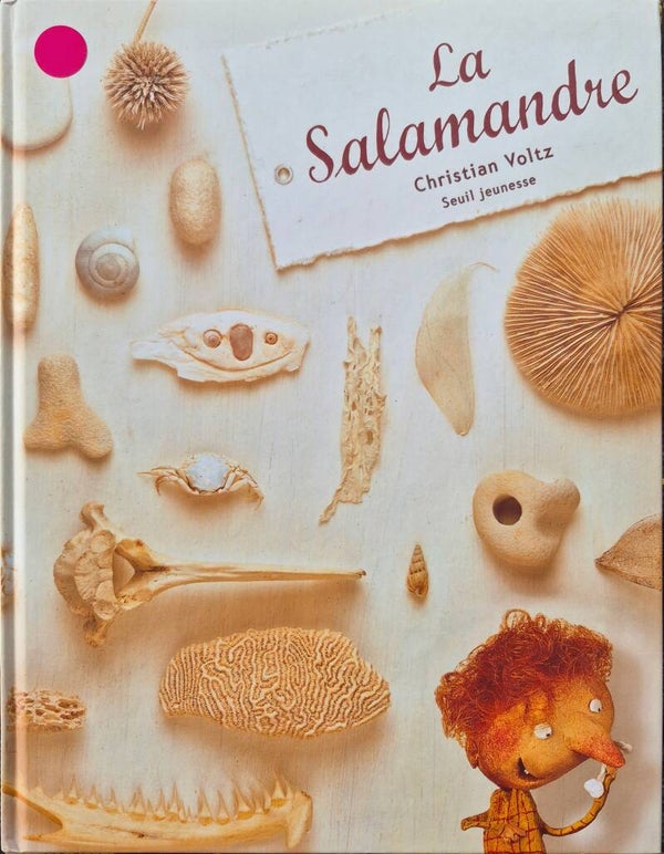 Illustration à partir de 6 ans : La salamandre