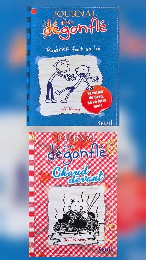 Roman : Journal d'un dégonflé