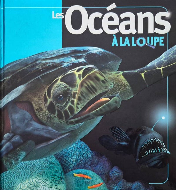 Documentaire : Les océans à la loupe