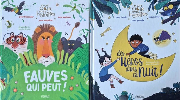 Illustrations de 3 à 5 ans Bon état : Un soir mes histoires