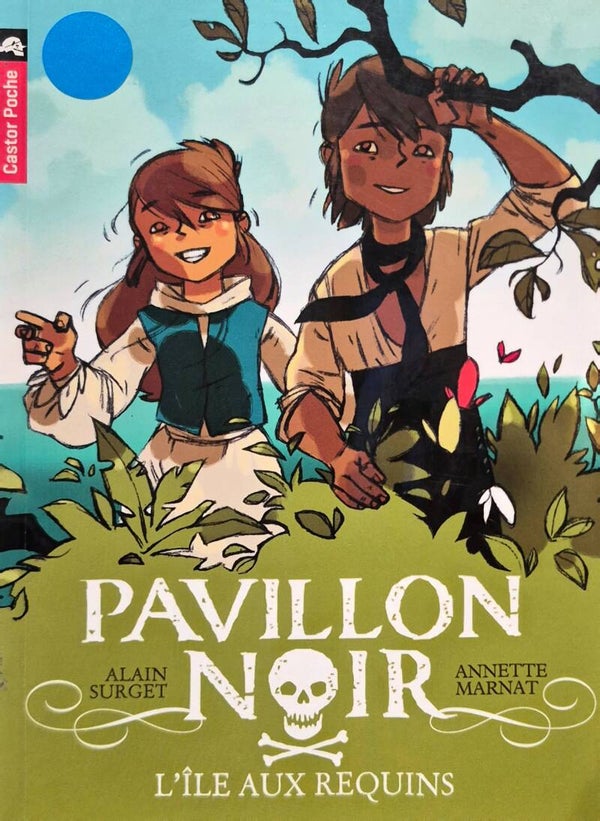 Premier roman : Castor Poche dès 8 ans