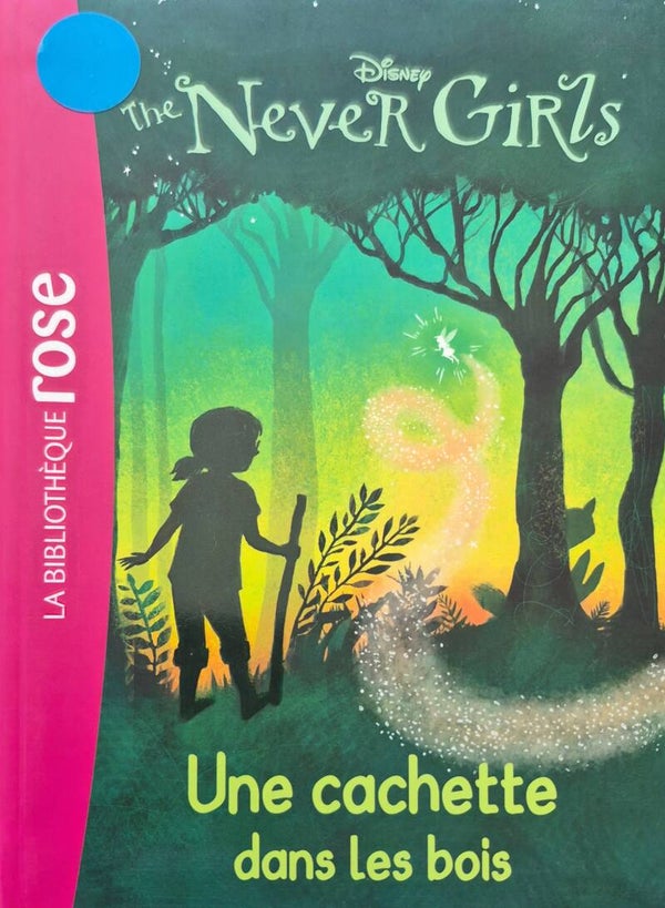 Bibliothèque rose : The never girls