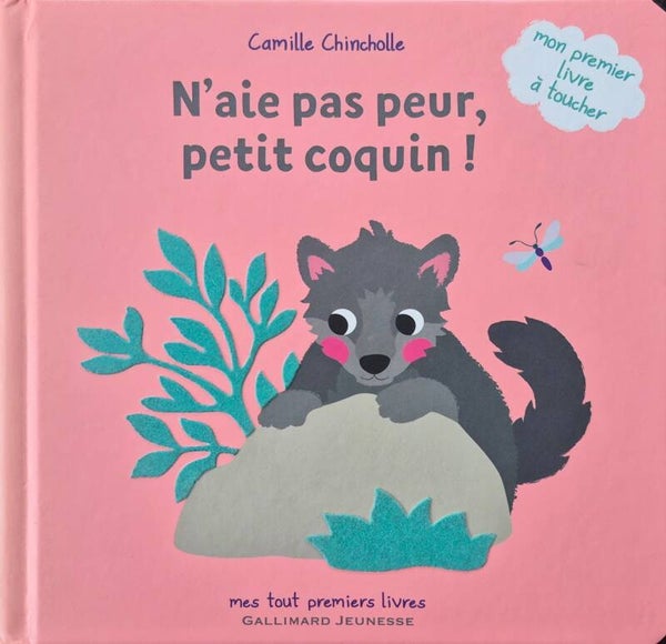 Livres bébé Bon état : N'aie pas peur, petit coquin !