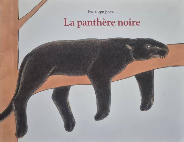 Ecole des loisirs 3 à 5 ans bon état : La panthère noire