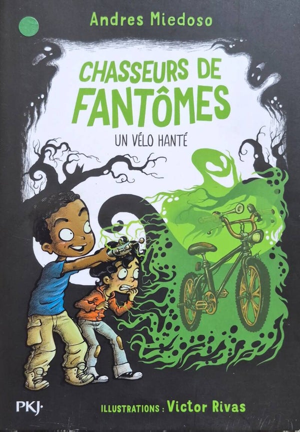 Premiers romans 6 à 8 ans  : Chasseurs de fantômes dès 8 ans (Copie)