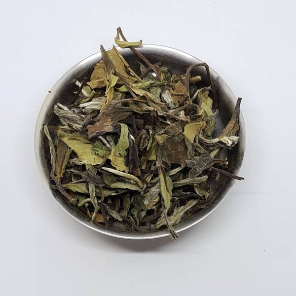 Witte thee China Pai Mu Than Superieur