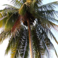 dsc00456-standard.jpg