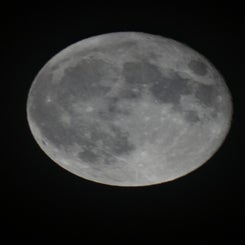 dsc02934-standard.jpg