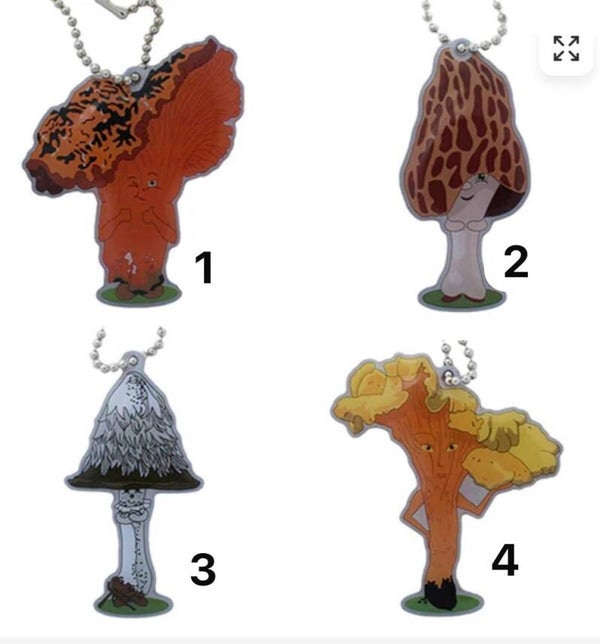 Fun Guy Mushroom Travel Tag - Shaggy Mane