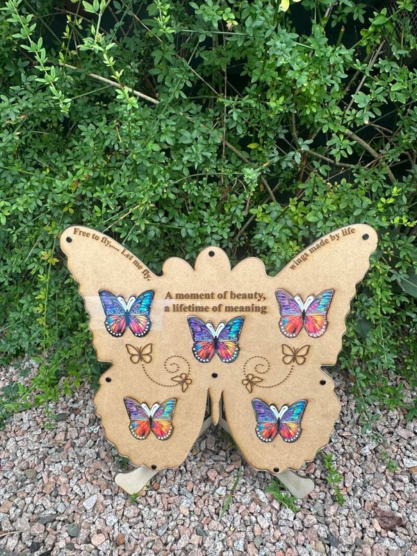 D.W.A. Butterfly Geocoin Display