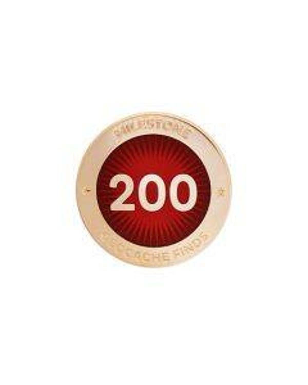 Milestone Pin - 200 Finds HQ