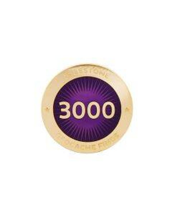 Milestone Pin - 3000 Finds HQ