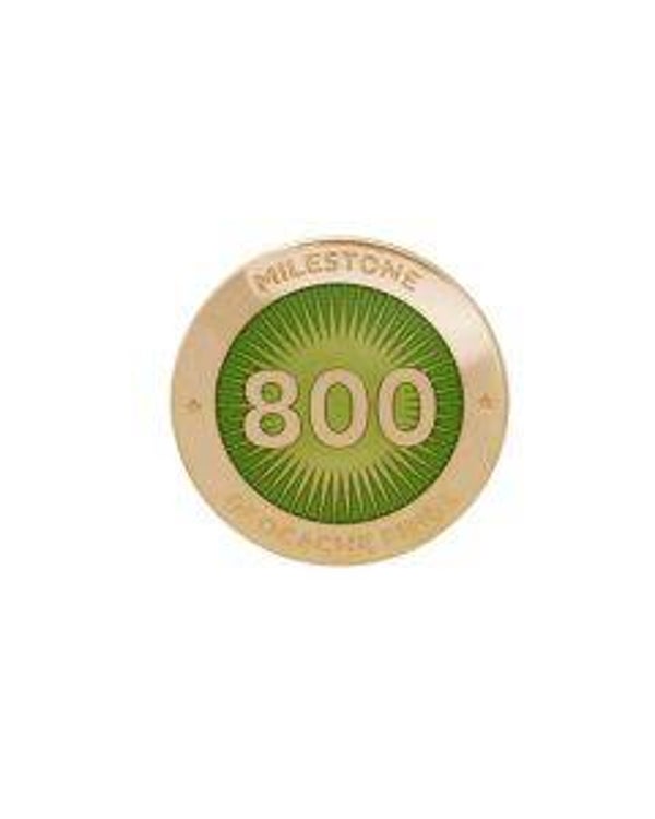 Milestone Pin - 800 Finds HQ