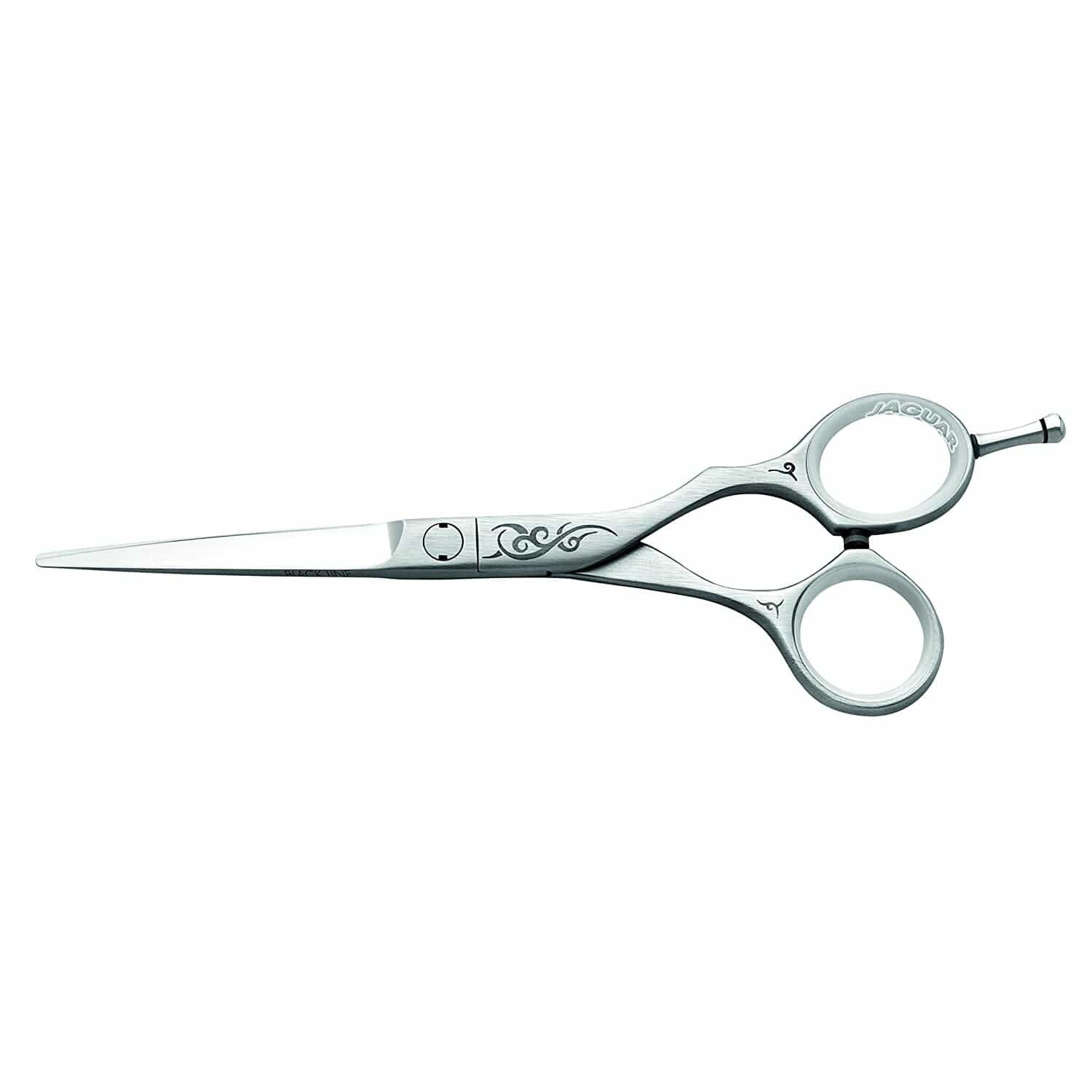 scissors-8-standard-66deuz.jpg
