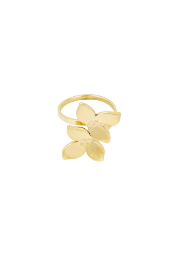 Stainless steel ring - flower duo