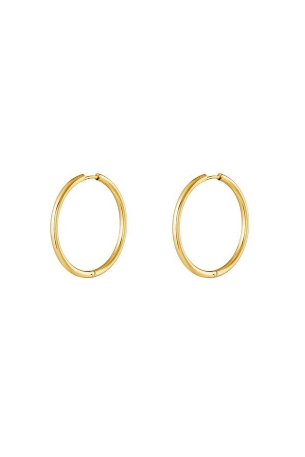 RVS oorbellen hoops klein -  Goud en zilver kleur Stainless Steel