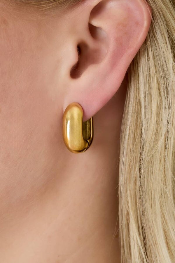 Bold stainless steel creolen, goud of zilver