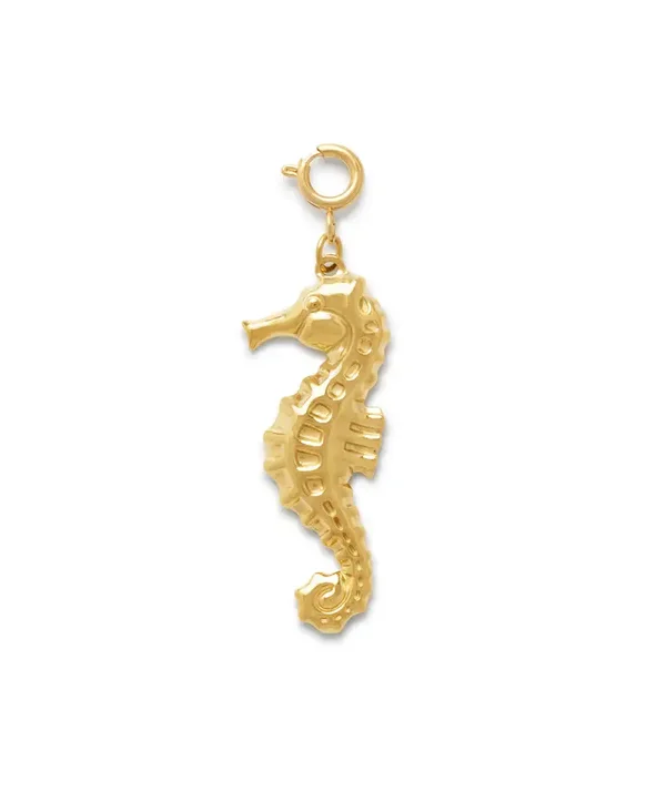 Le Veer Hoogzomer 2026 - Golden Seahorse Bedel