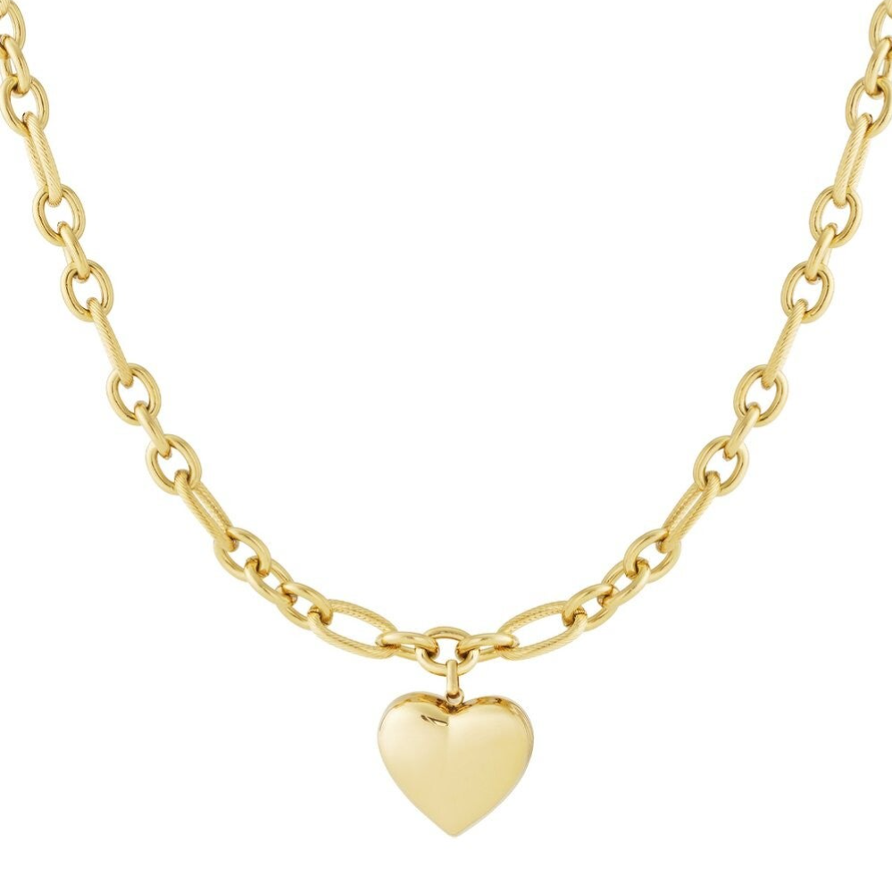 Stainless steel Bedelketting Big Heart