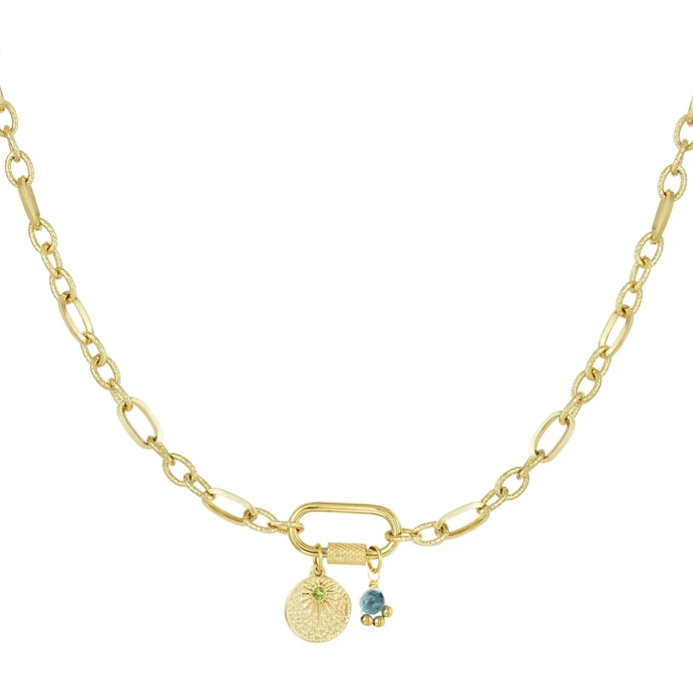 Stainless steel bedelketting Charms