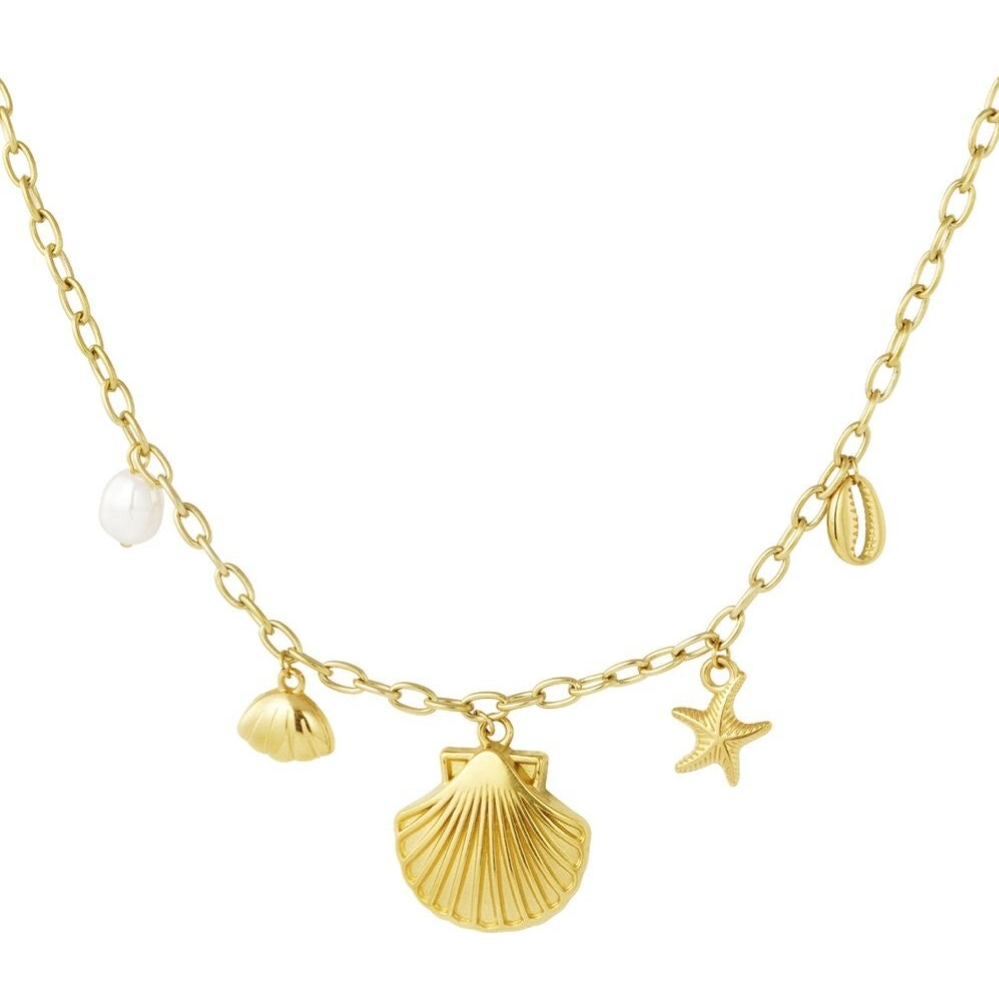 Stainless steel Bedel ketting Sea shell
