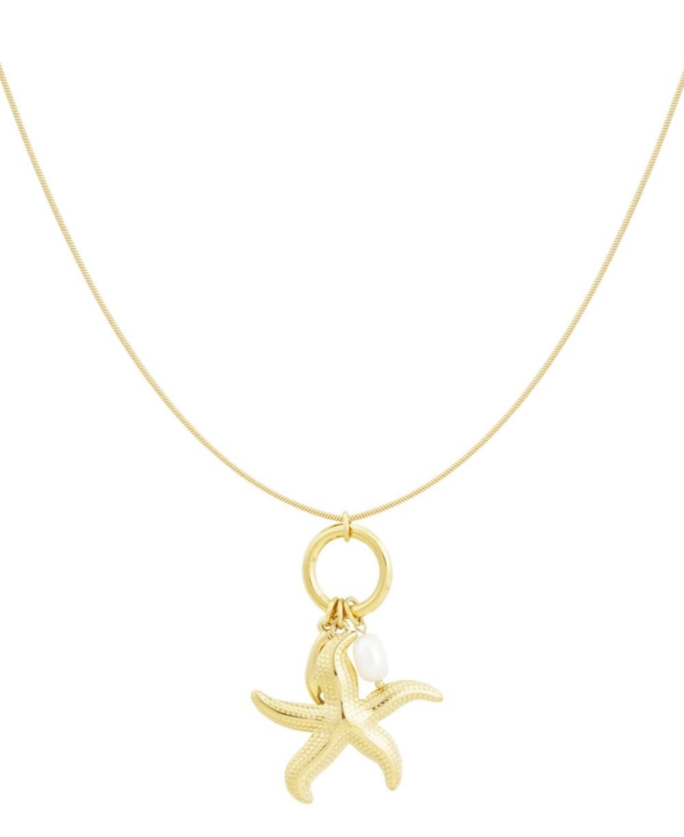 Stainless steel bedelketting Star of Seashell