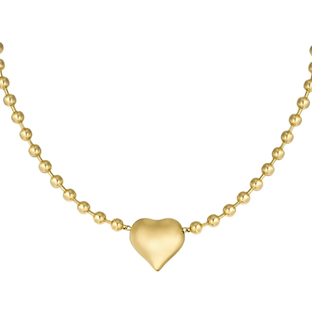 Stainless steel Ketting Big Heart