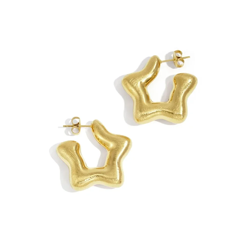 Stainless steel oorbellen goudkleurig ster