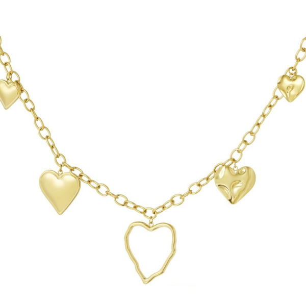 Stainless steel bedelketting Heart