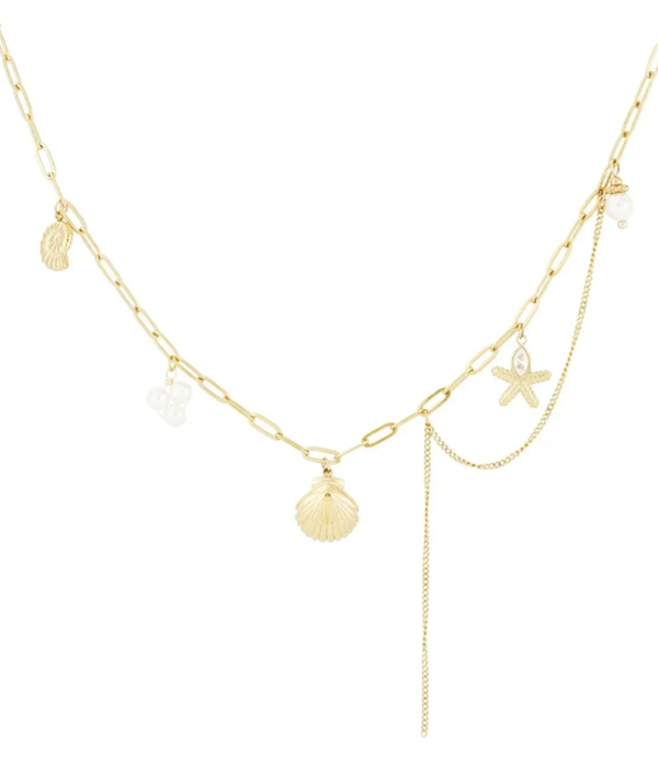 Stainless steel Bedelketting Sea Shell