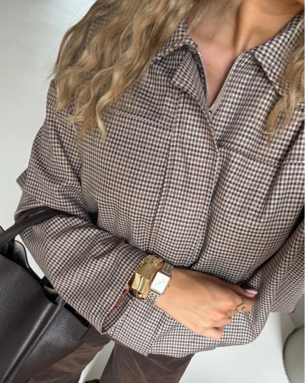 Ballonjasje ruitje bruin