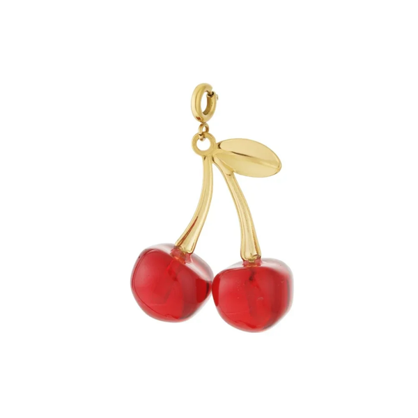 DIY - Stainless steel bedel - rode kers