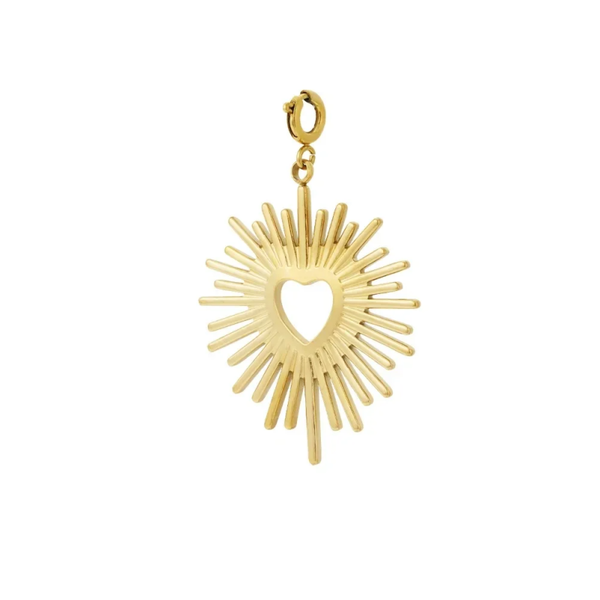 DIY - Stainless steel bedel - Hart