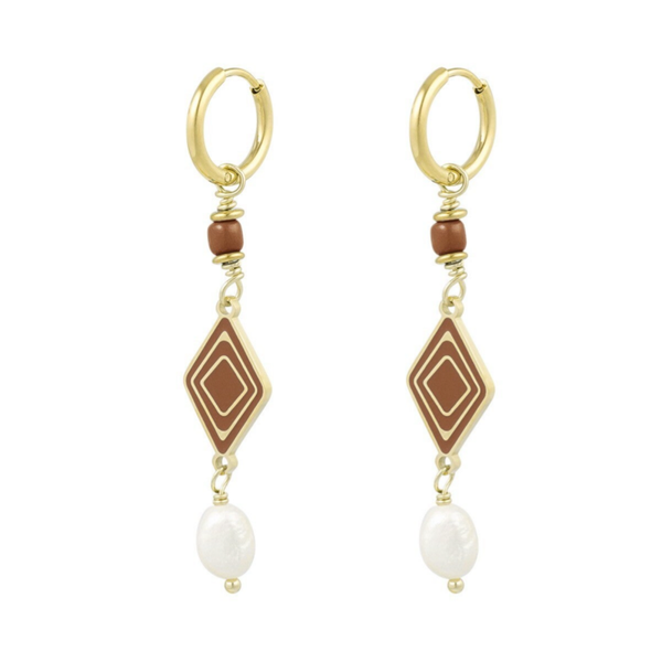 Stainless steel oorbellen